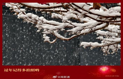 美丽刘雅瑟深V吊带彰显热烈魅力
