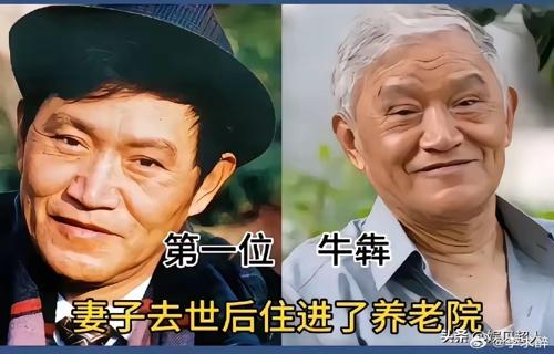 我们与自然融为一体心灵得到了净化和升华标题云龙之巅音乐的呼唤大自然的美丽让我更加珍惜生命和生活的意义